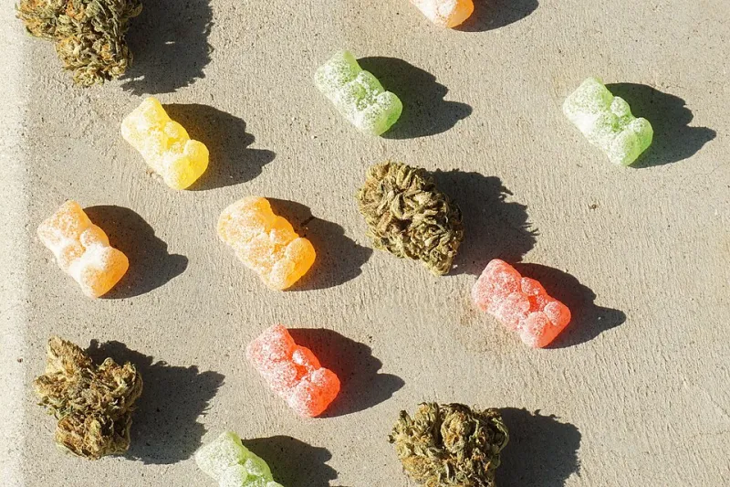 Keep It Fresh: The Ultimate Storage Guide for CBD Gummies That Actually Stay Potent