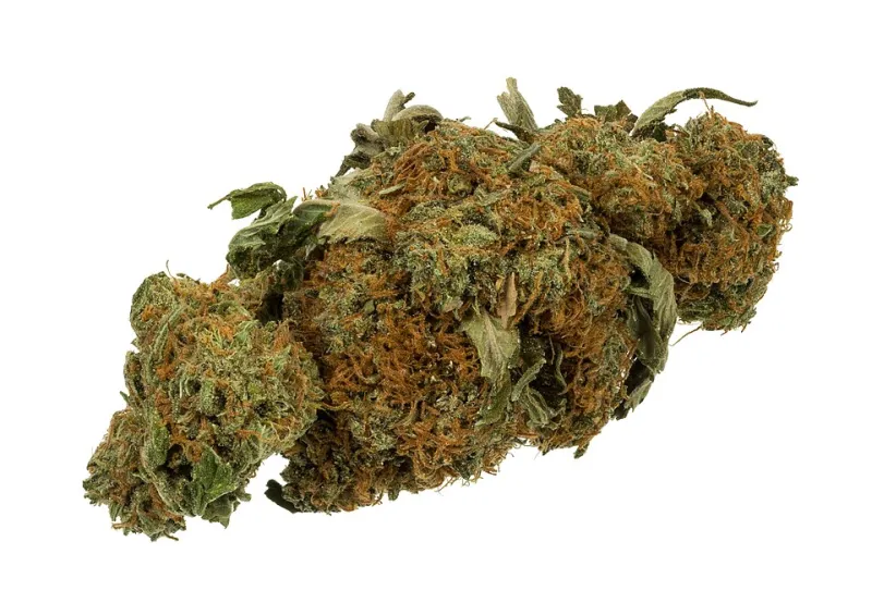 Do Cannabinoids Actually Work Better Together? The Science Behind the Entourage Effect, Explained
