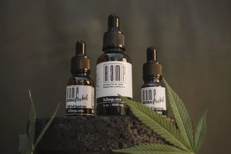More Than Just CBD: How Full-Spectrum Gummies Harness the Whole Plant for Better Results